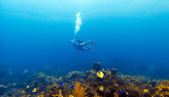 Roatan